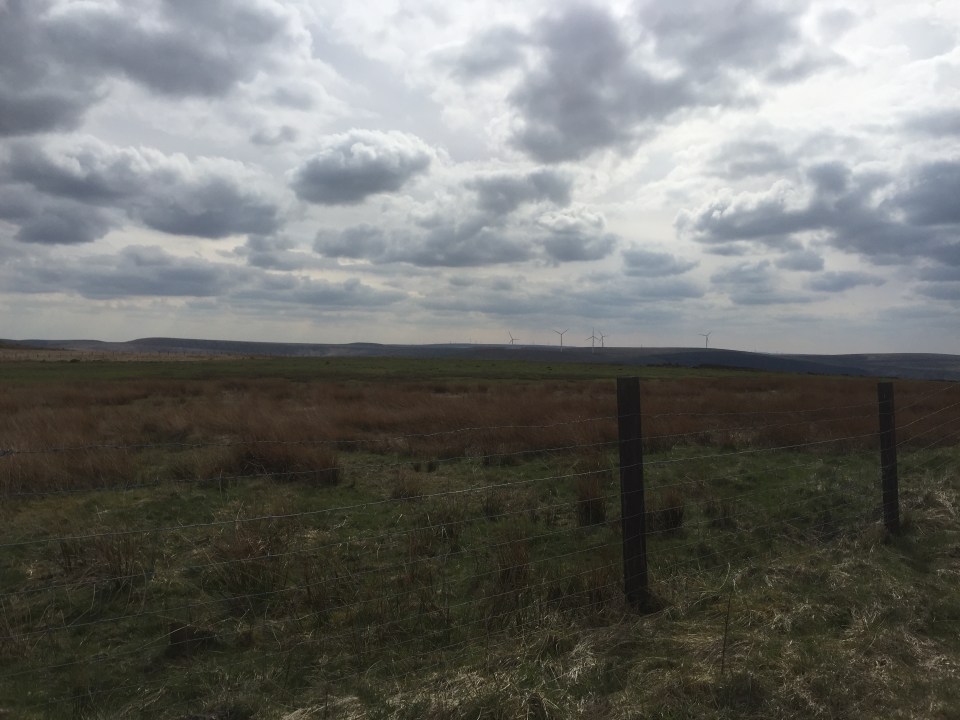 A lot of wind farms round these parts