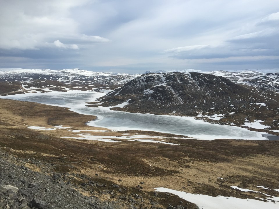 Nice downhill stretch