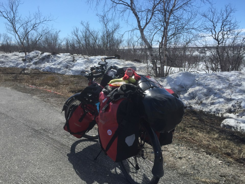 Chef Lobster indicating bananas on the menu