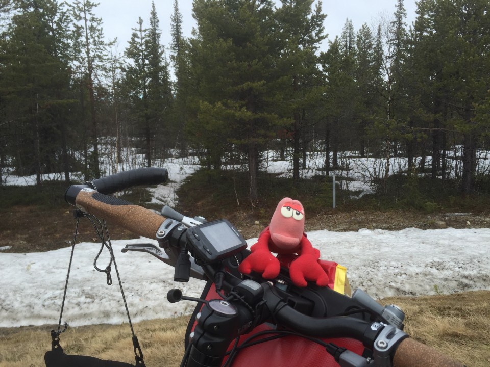 Motivational talk from Lobster