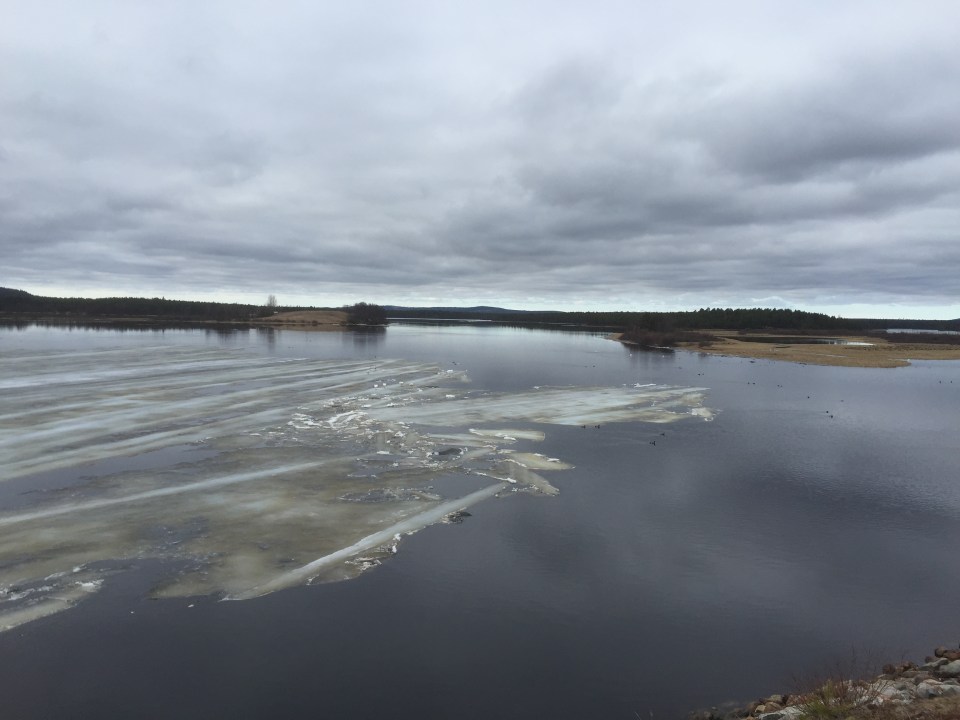 Ice on lake nearly all melted - you might be able to see some swans standing on it