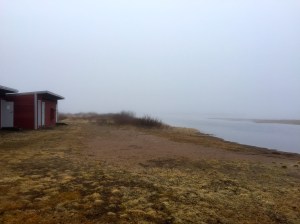 Misty morning in Vitangi