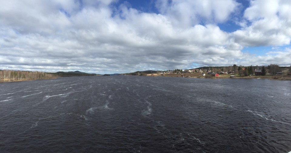The River Kalixalven - fast flowing and looking very chilly