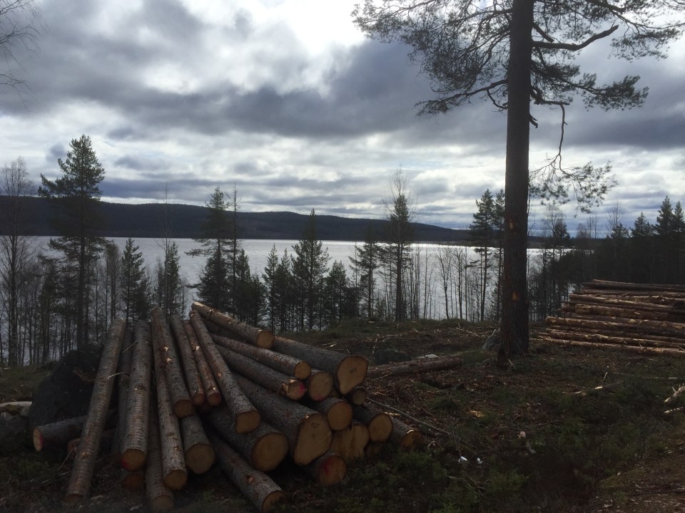 Views of the River from the E10