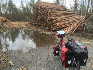 Taking the back roads to Lulea