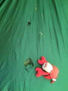 Holes pre-mending, Lobster for scale