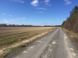 Off the beaten track - leaving the E04 behind for a bit