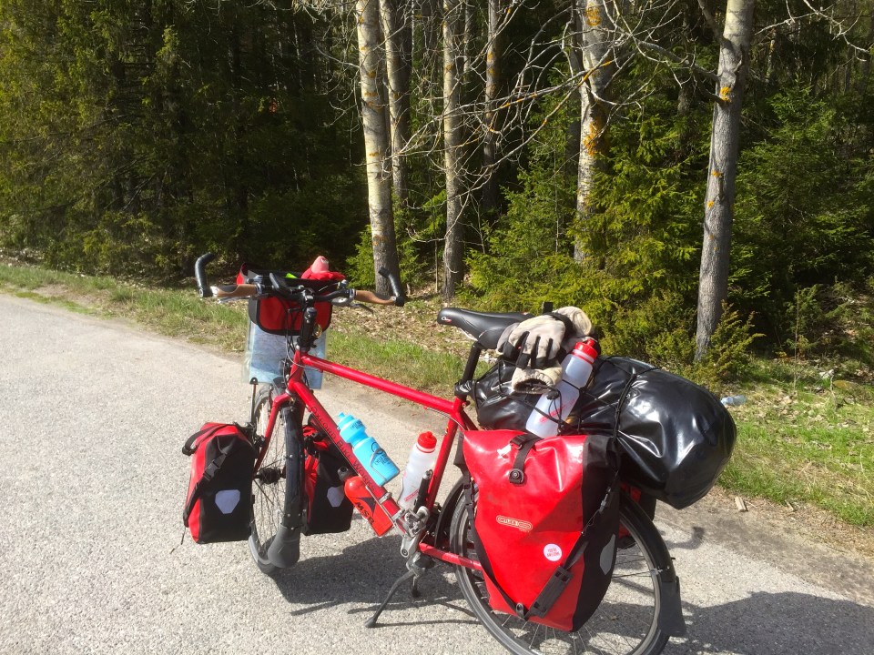 Snack break - many bananas being consumed today