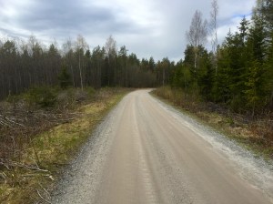Clay road through woods, post Haknas