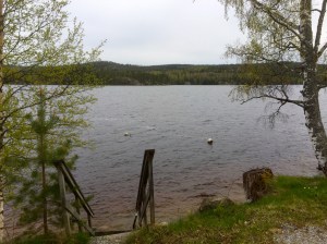 Snibbens campsite - lakeside view
