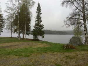 Misty and damp morning at Snibbens campsite