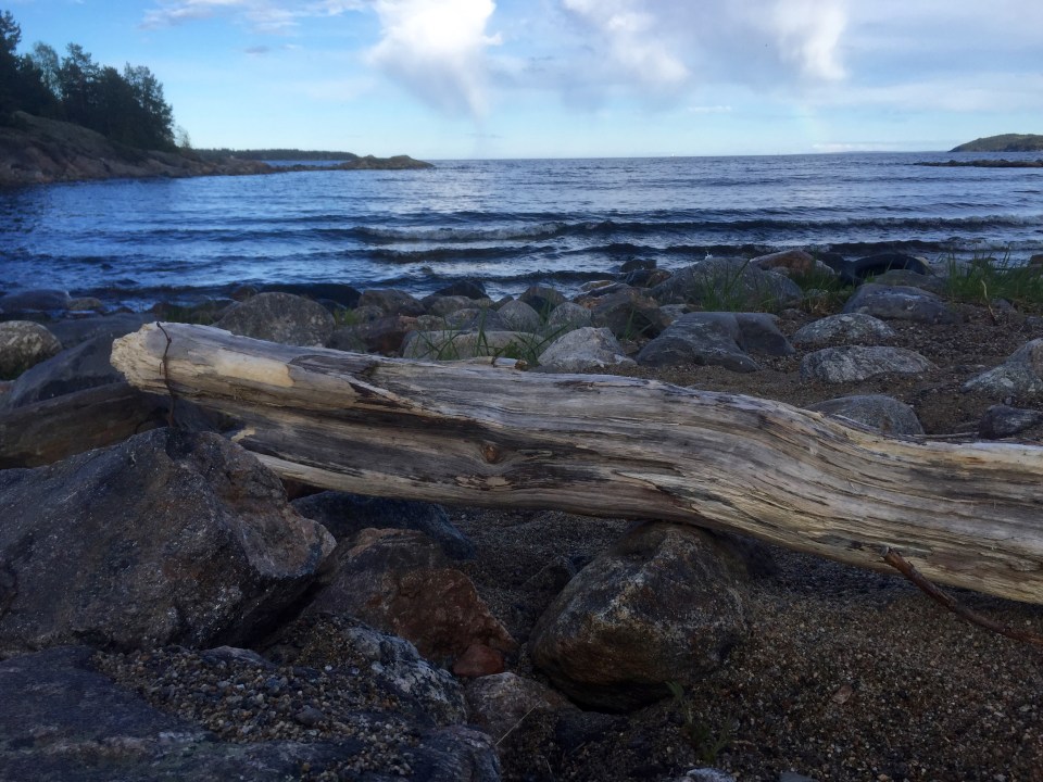 Log sans Lobster, arty shot