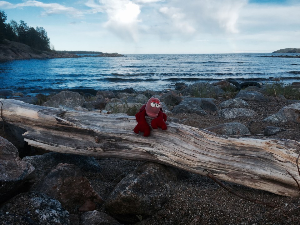 Lobster on a log, getting back to his seaside roots