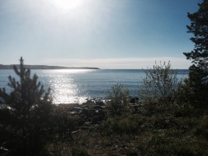 A new day at Flaisons