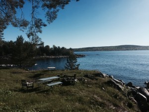 Blue skies and sunshine