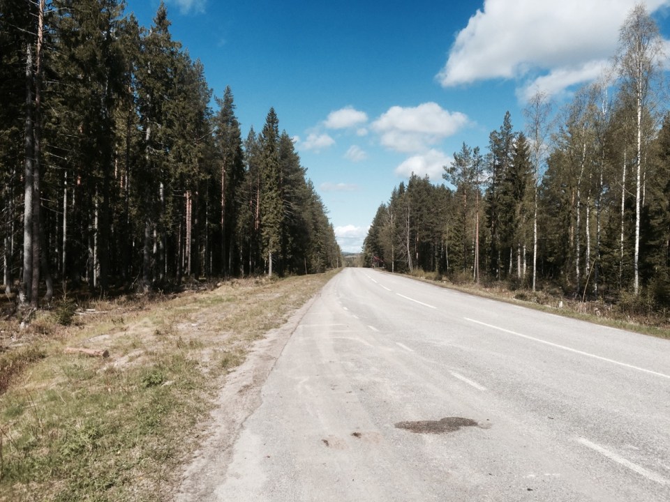 Swedish road through the forest, not uncommon