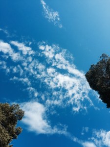 Watching the clouds draft by