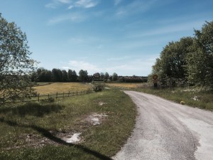 Pedalling through the Swedish countryside on the way to Stockholm