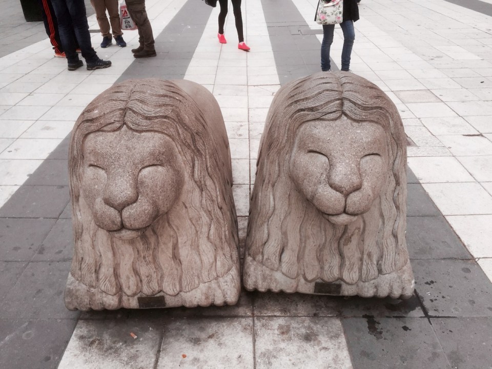 Heading back to hostel - these lions are everywhere, thought they looked like Dougal from Magic Roundabout