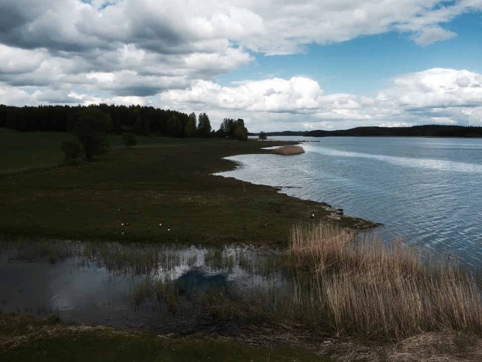 Onwards into a chill afternoon