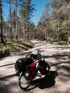 Forest trail - good expedition riding