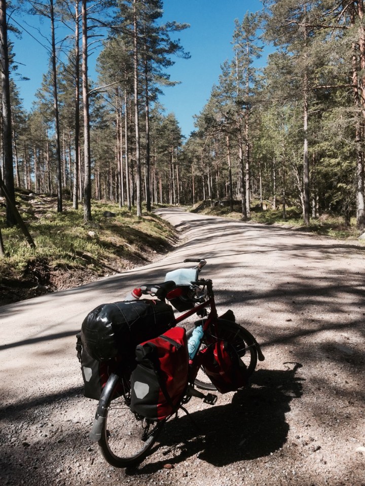 Forest trail - good expedition riding