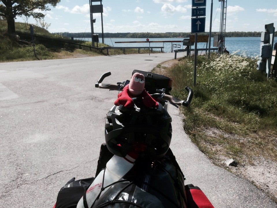 Lobster enjoying the break too