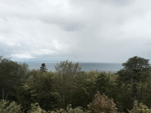Lake Vattern through the trees