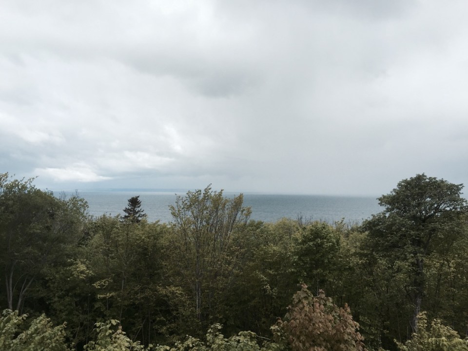 Lake Vattern through the trees