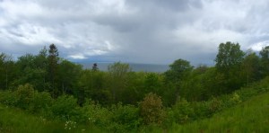 Verdant flora alongside Lake Vattern