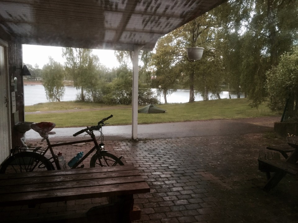 Nice weather for ducks