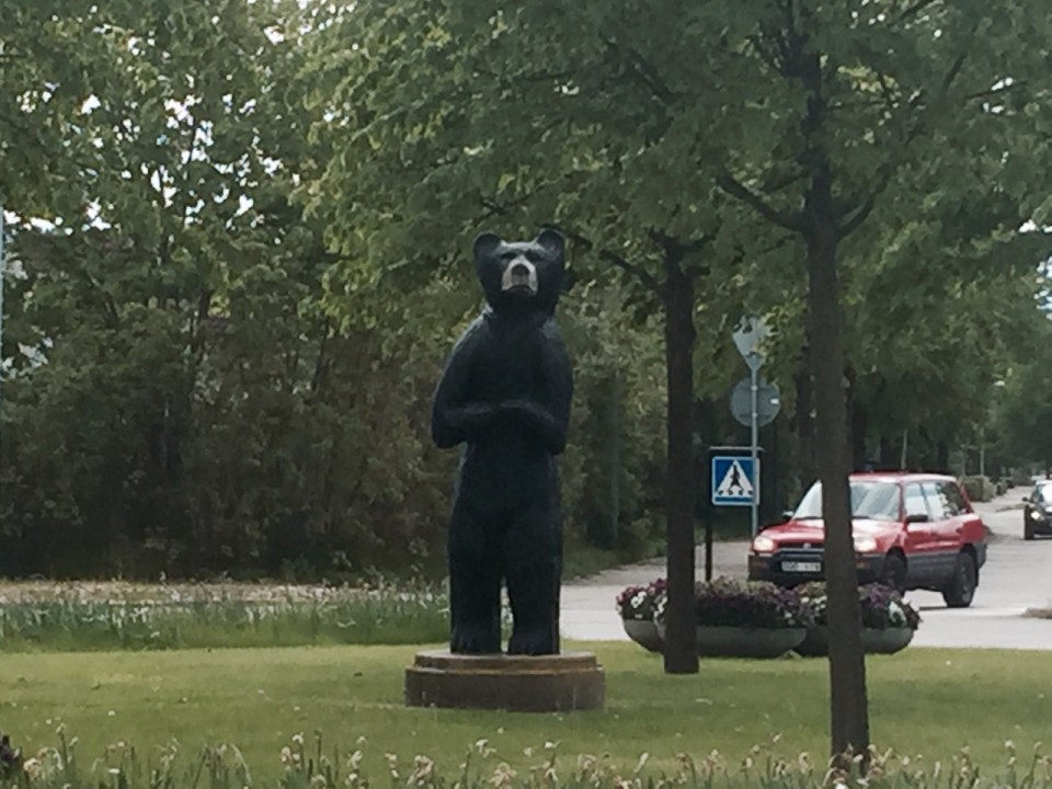 Closest I'm going to get to a bear in Sweden