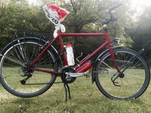 Smaug looks damp after torrential rain overnight