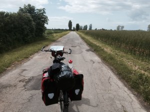 Cycle route to Tars - a rare hedge provides a wind break