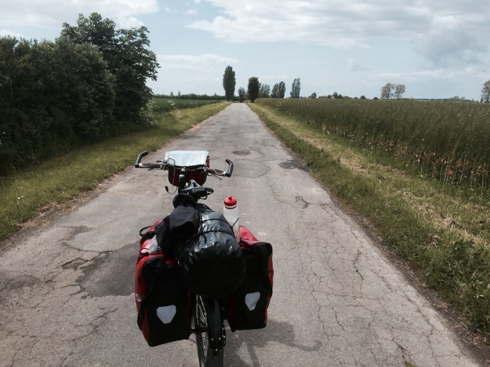 Cycle route to Tars - a rare hedge provides a wind break