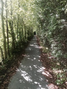 Cosy cycle path next bridge