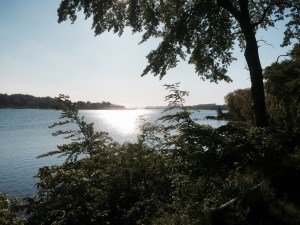 Morning in Svendborg - glorious day