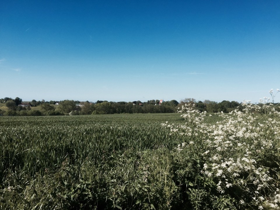 Pedalling through Danish countryside