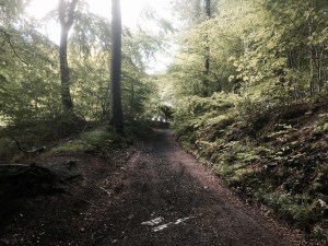 Route 8 goes off road