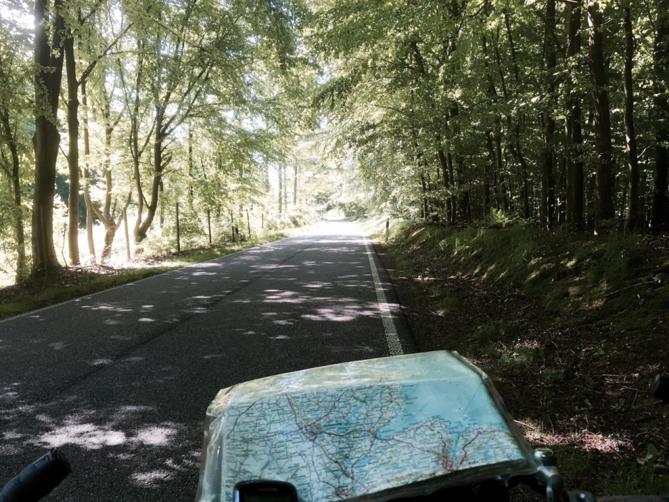 Riding through Beech woodland