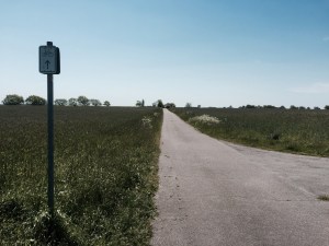 Pedalling through farmland following a marked cycle route