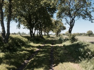 Cycle route turns expedition like near Dannewerk