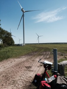 Pedalling past lots of wind turbines