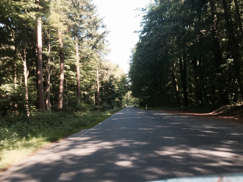 Riding along wooded roads very pleasant and shaded