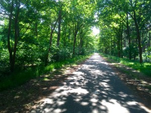 One of my first Dutch cycle paths