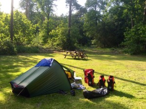 Campsite near Ommen, nice spot in the woods