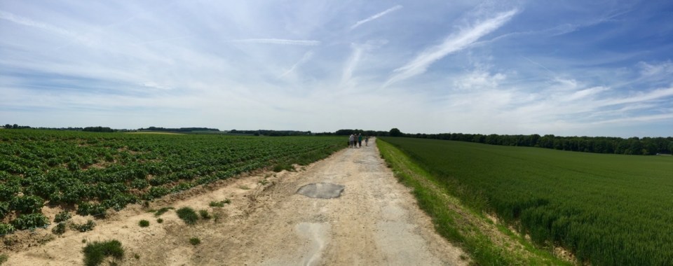 Waterloo battlefield - mostly potatoes now