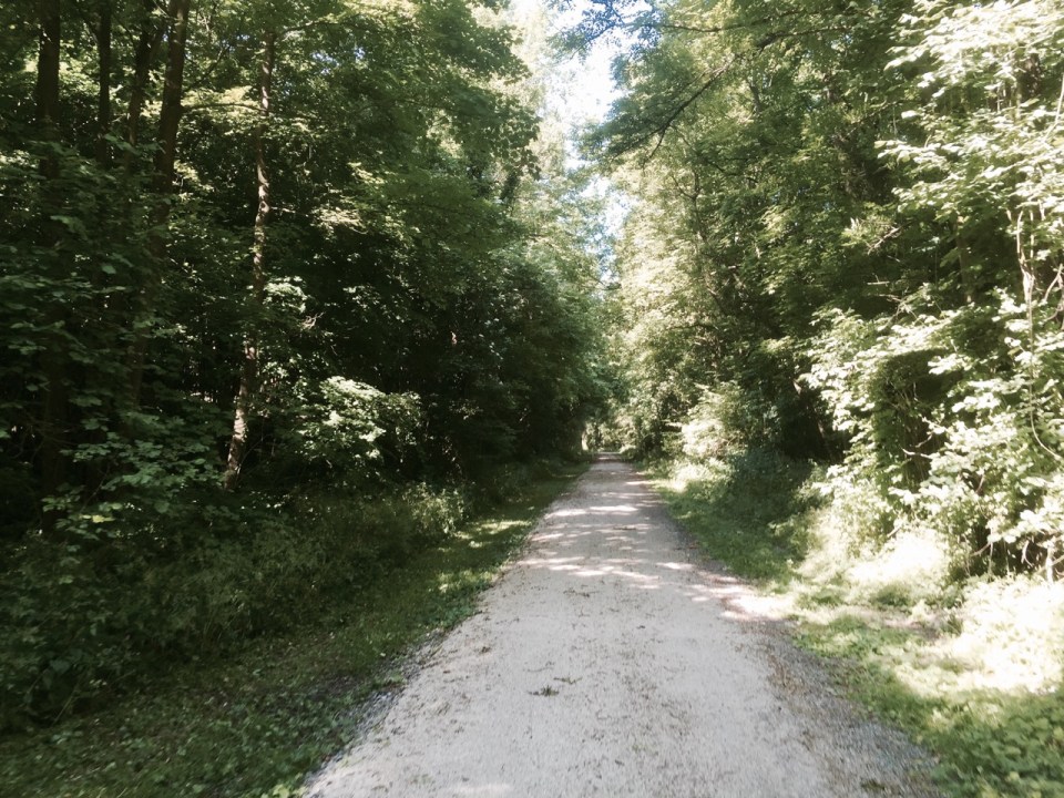 EV3 - en-route to Guise, forest bit