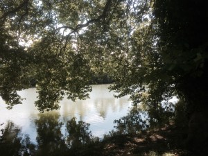 Tranquil camping spot