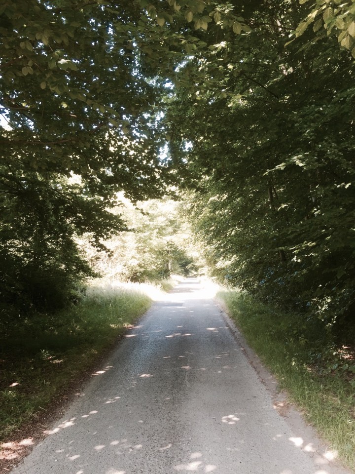 Lovely shaded lanes - Foret de Compiegne